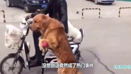 番号网站在线视频,精彩内容一网打尽